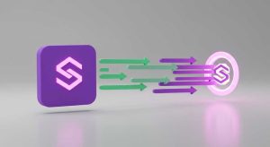 What is a Solana wallet address in the Paidwork app